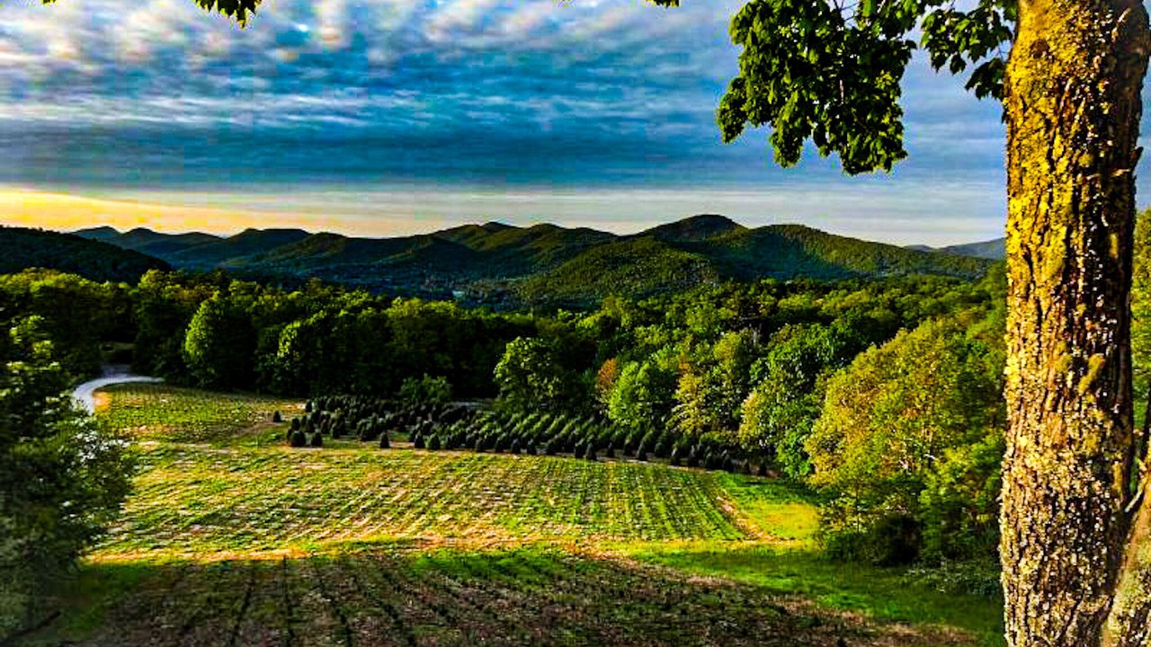 Photo of Outdoor in Glenville