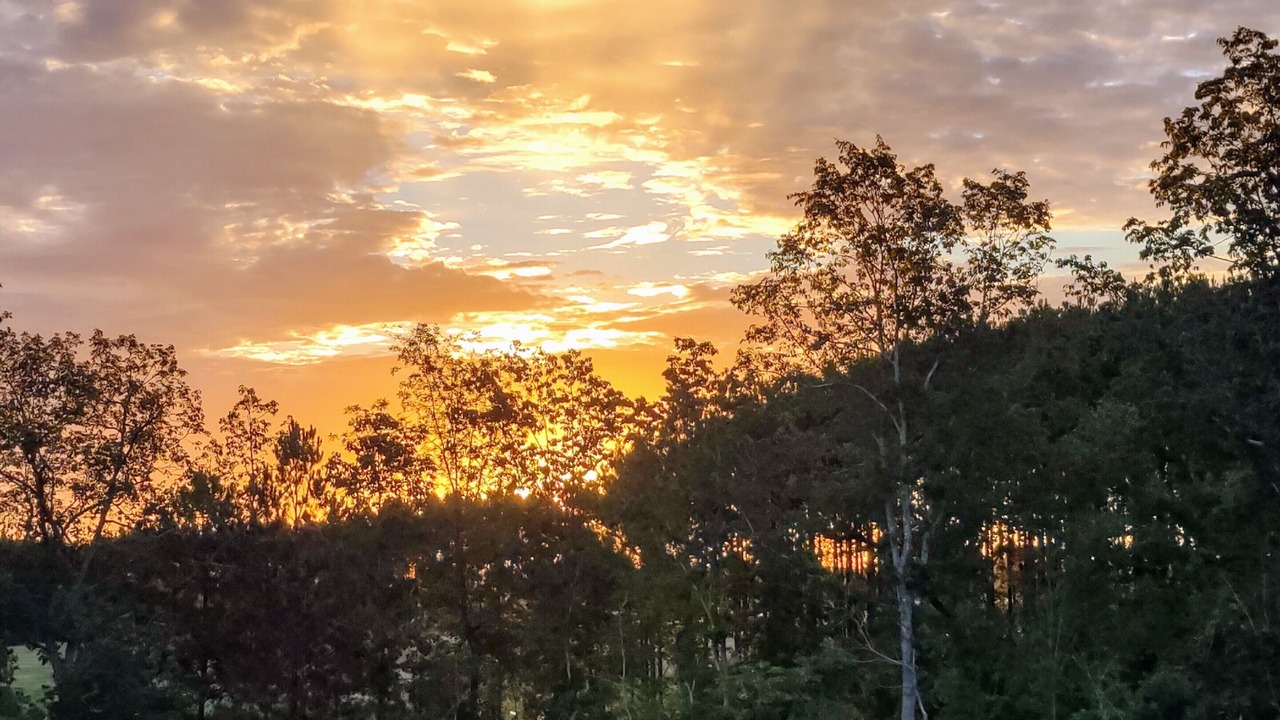 Photo of Outdoor in Sweetwater