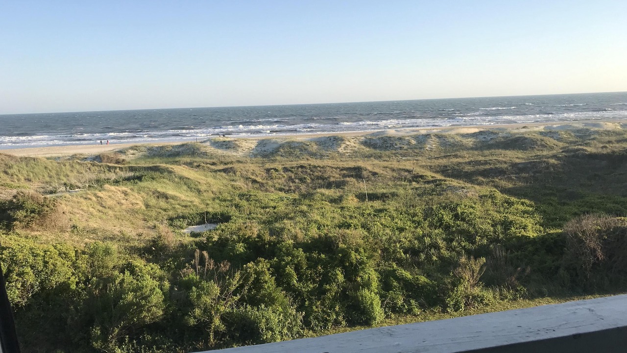 Photo of Others in Morehead City