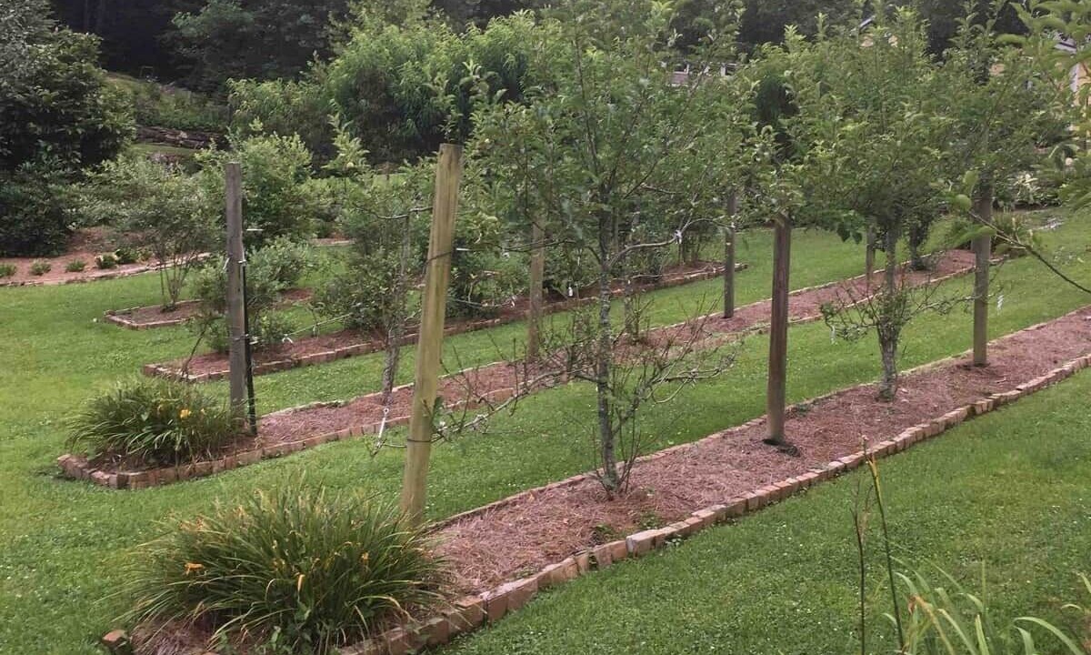 Photo of Outdoor in Brevard