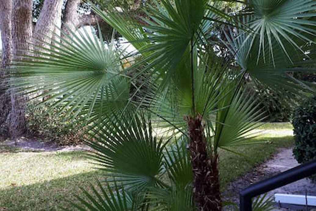 Photo of Others in Winter Haven