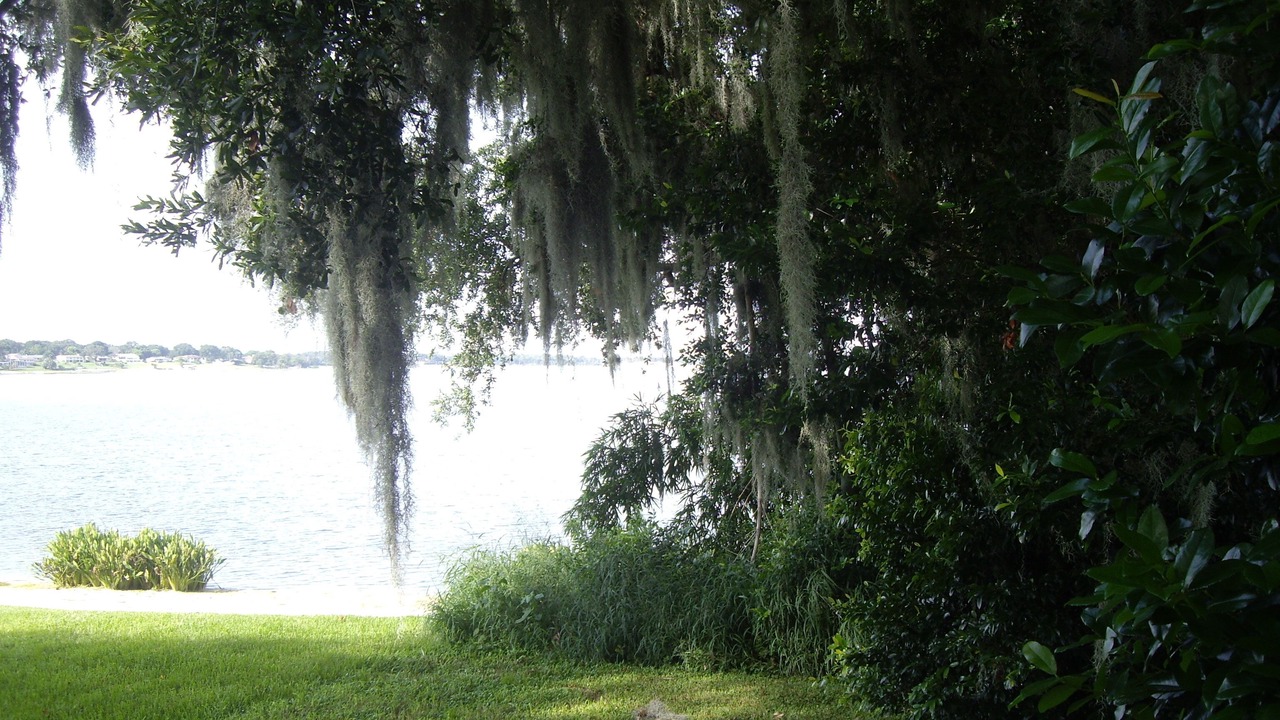 Photo of Outdoor in Winter Haven