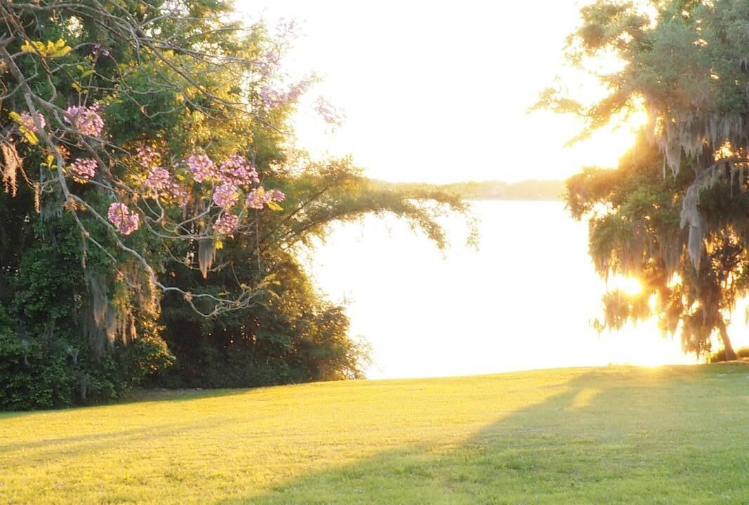 Photo of Outdoor in Winter Haven