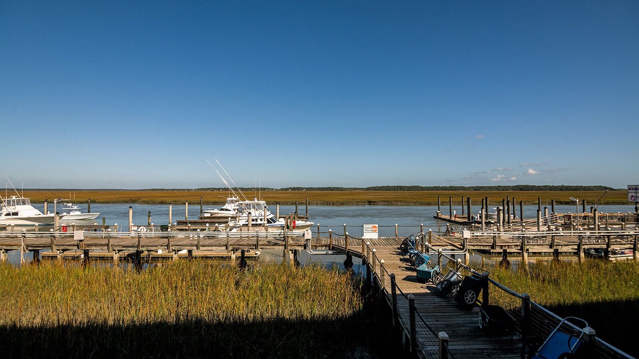 Photo of Others in Edisto Island