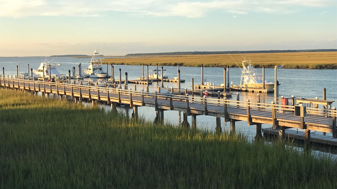 Photo of Others in Edisto Island