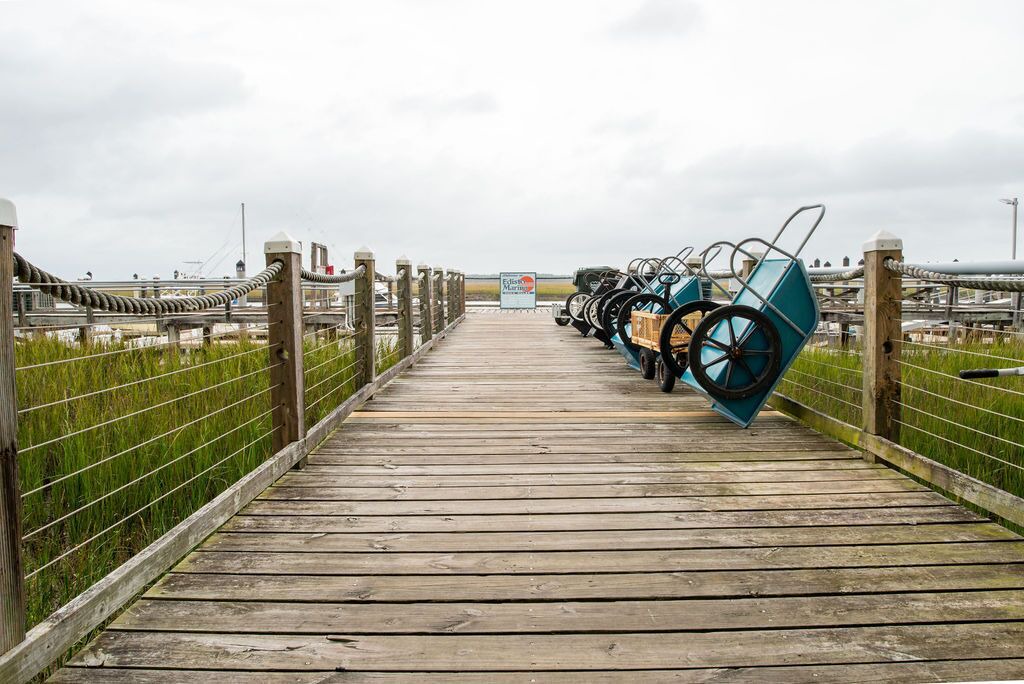 Photo of Others in Edisto Island