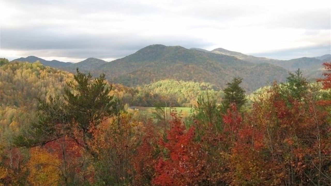 Photo of Others in Nantahala