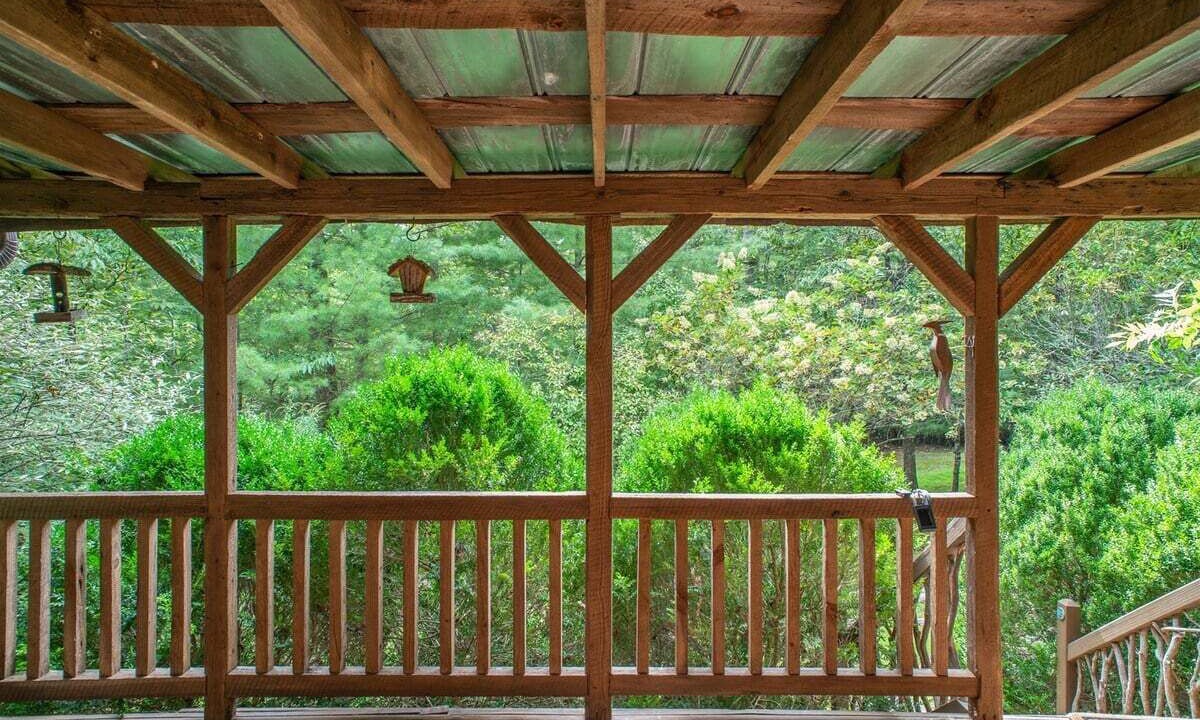 Photo of Outdoor in Pisgah Forest