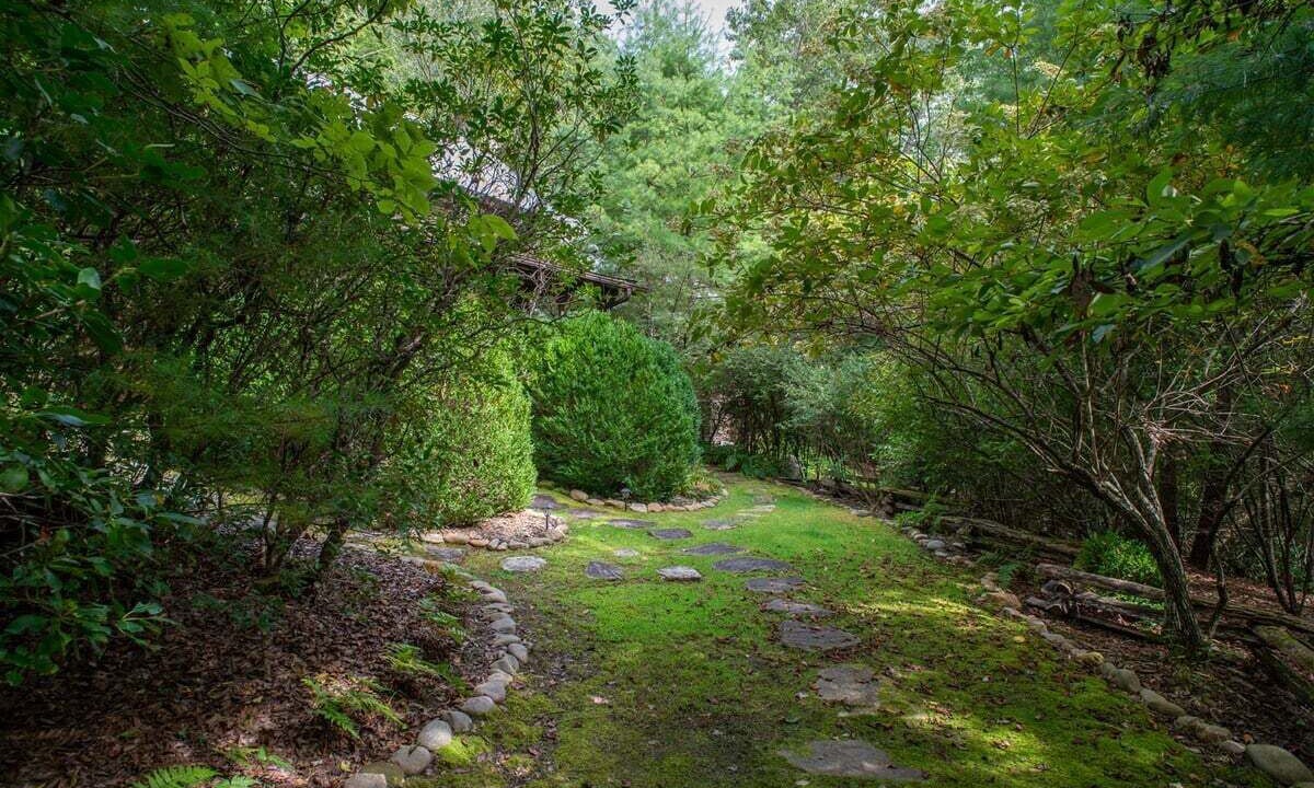 Photo of Outdoor in Pisgah Forest