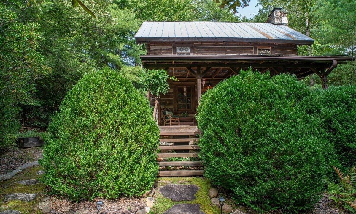 Photo of Outdoor in Pisgah Forest
