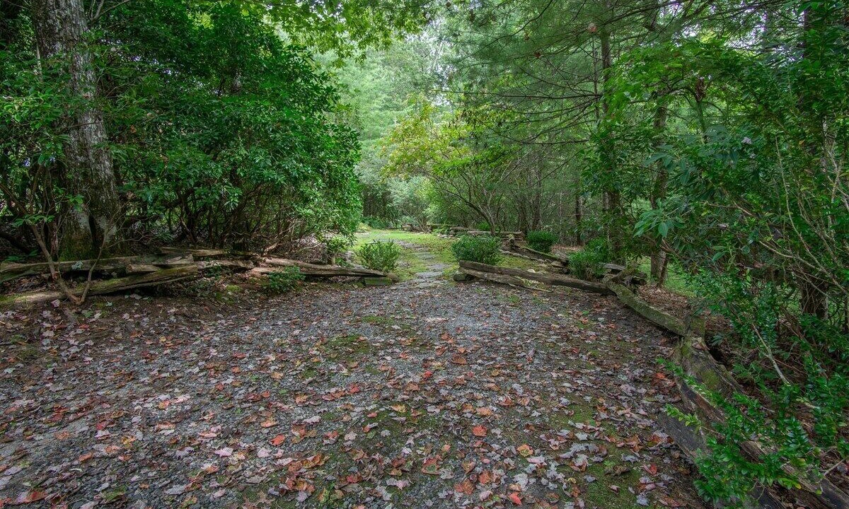Photo of Others in Pisgah Forest