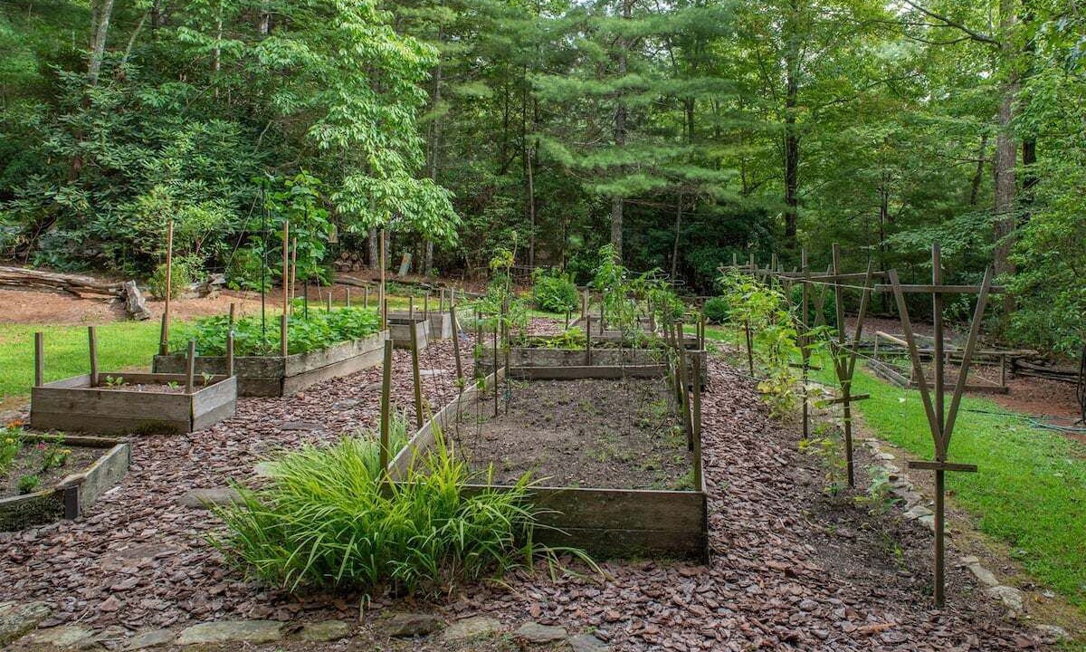 Photo of Outdoor in Pisgah Forest