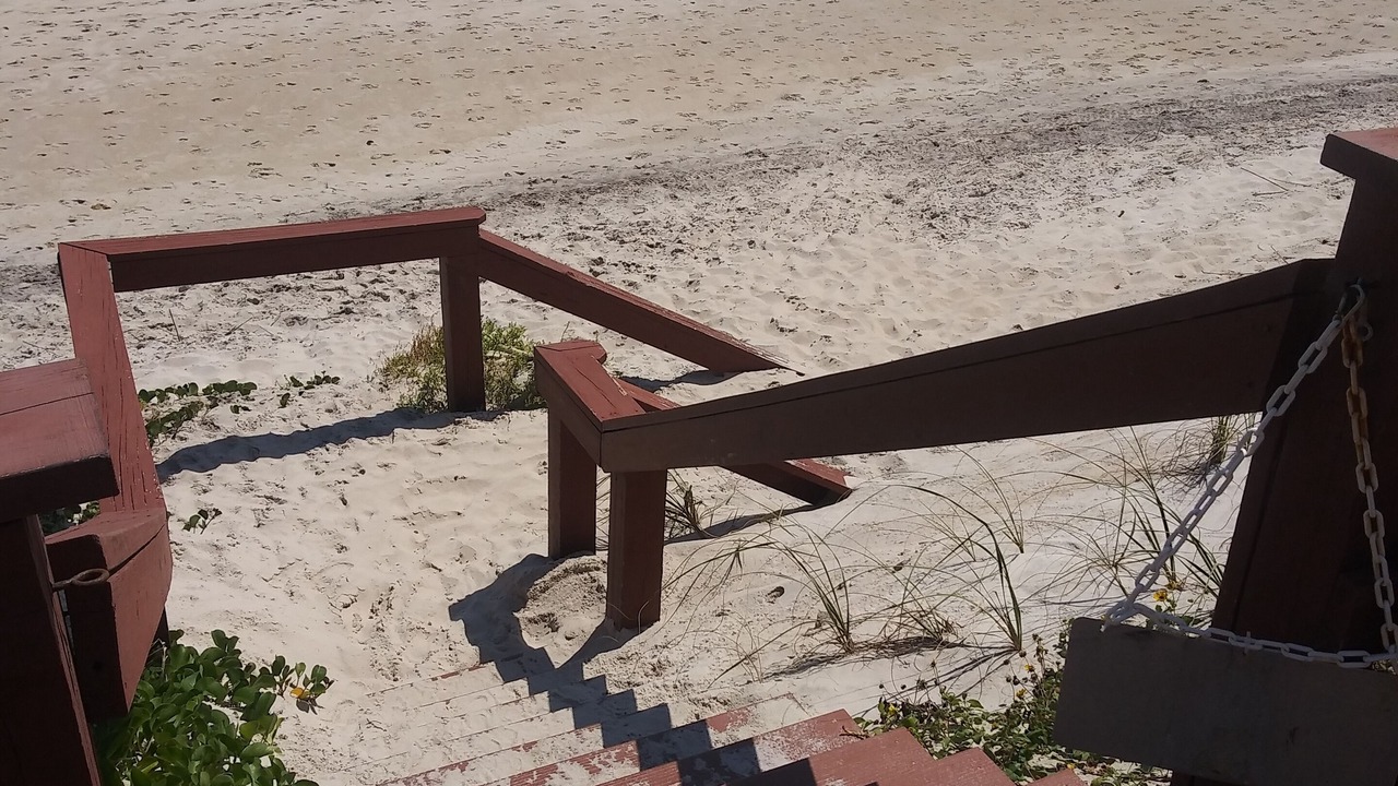 Photo of Others in Central Beach