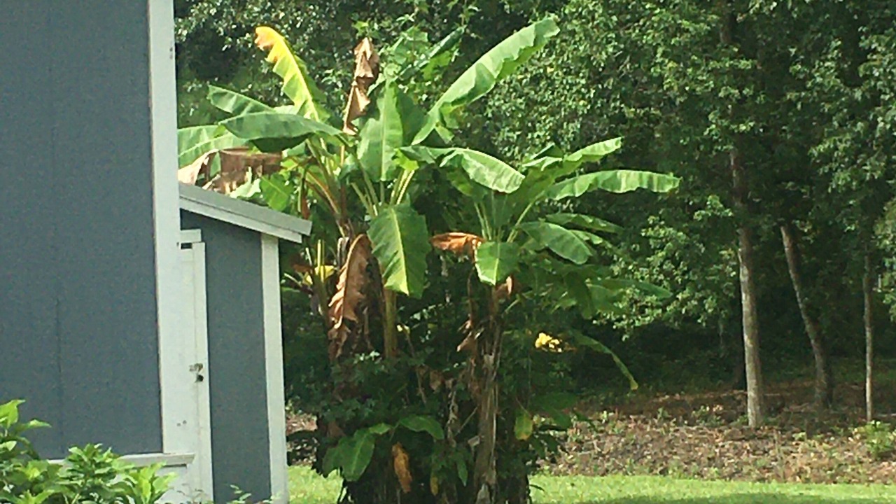 Photo of Others in Dale
