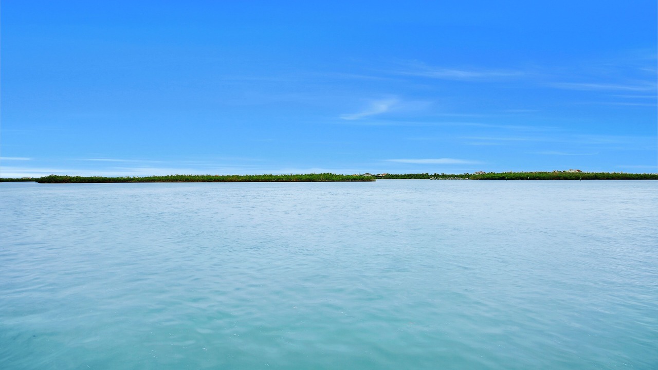 Photo of Others in Marco Island