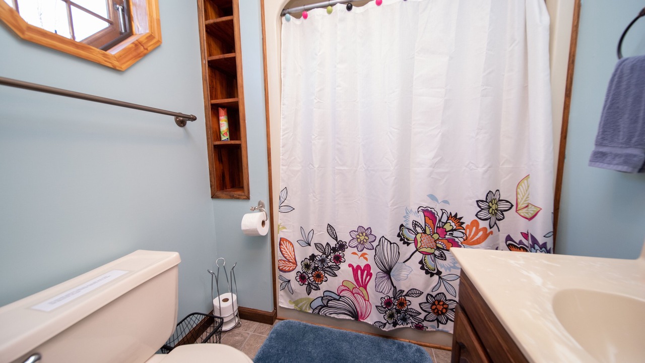 Photo of Bathroom in Pisgah Forest
