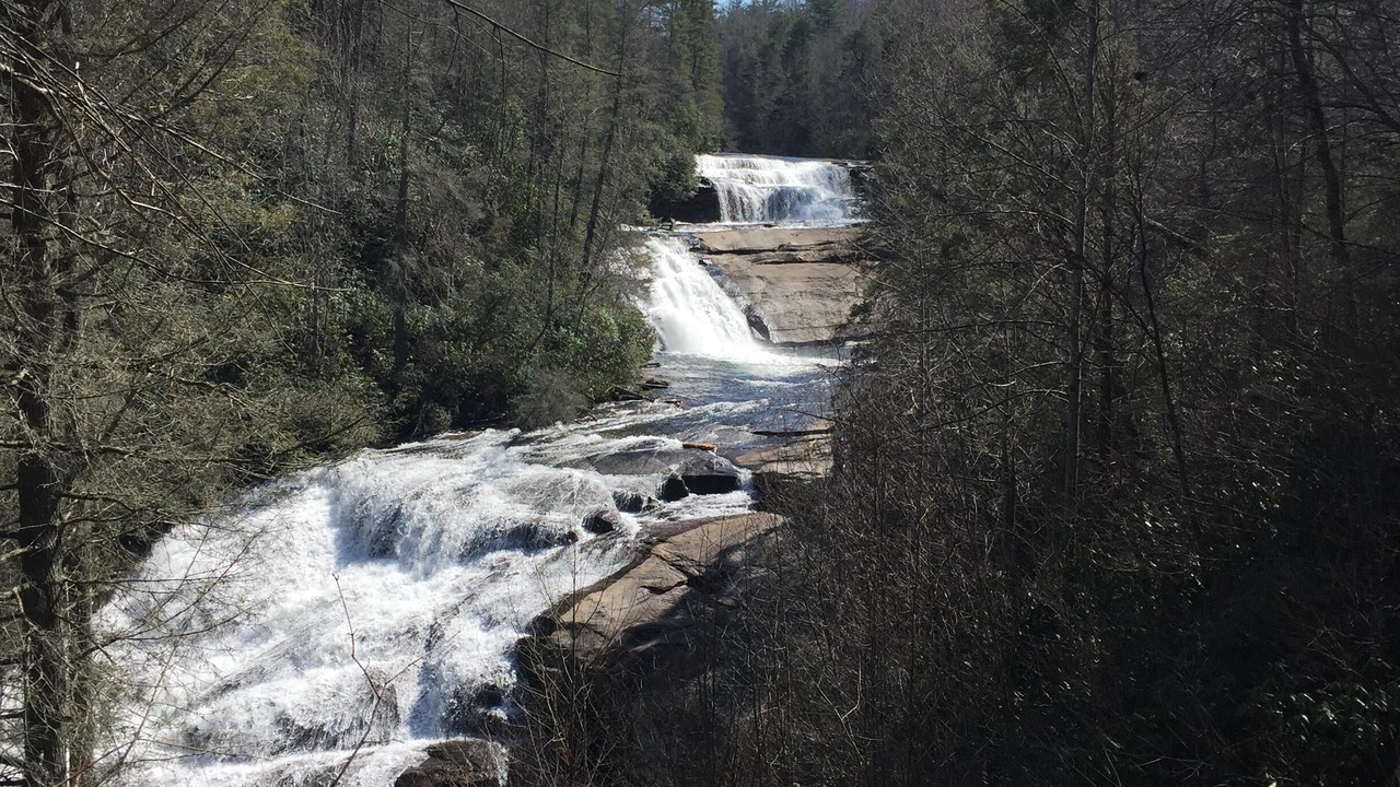 Photo of Outdoor in Pisgah Forest