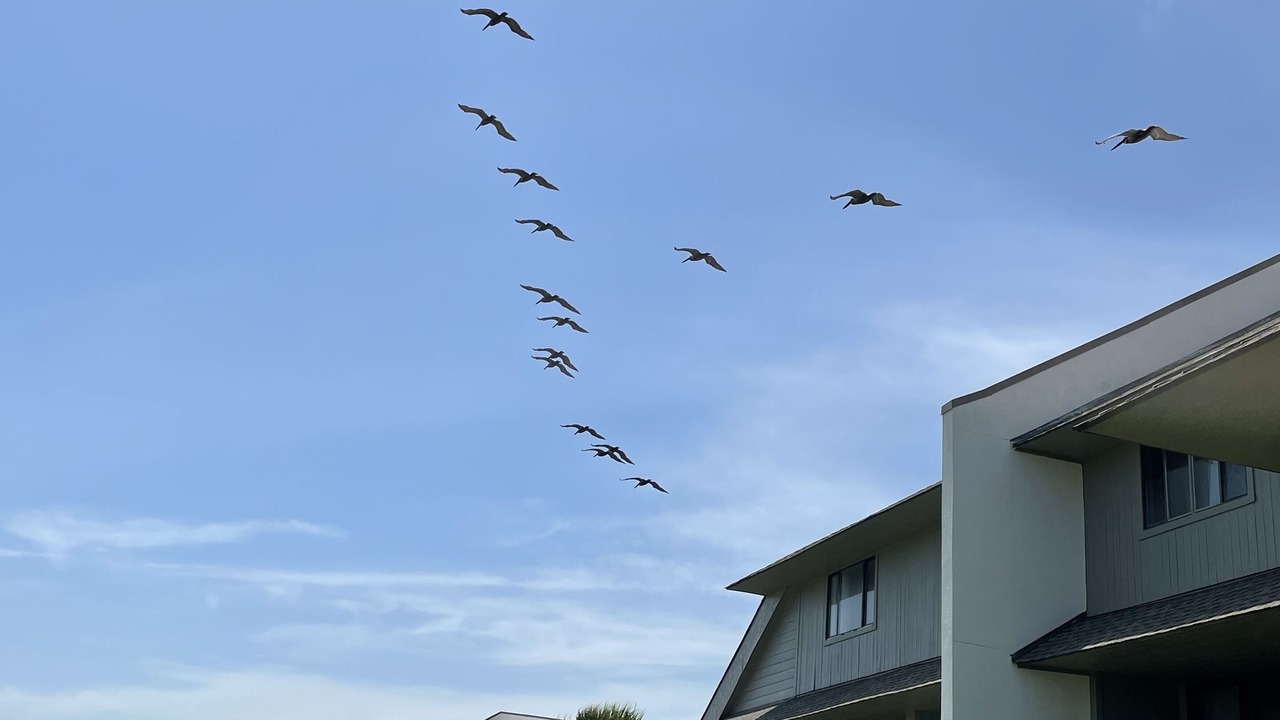 Photo of Others in Saint Helena Island