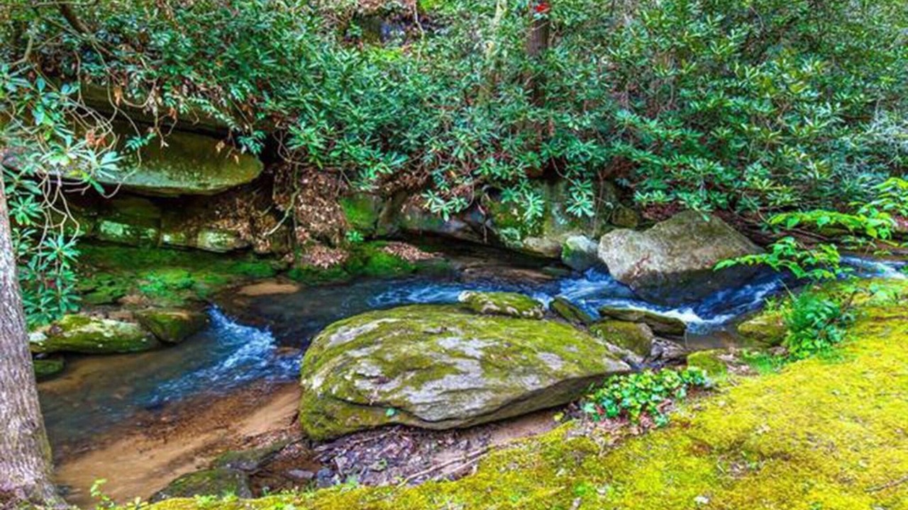 Photo of Outdoor in Brevard