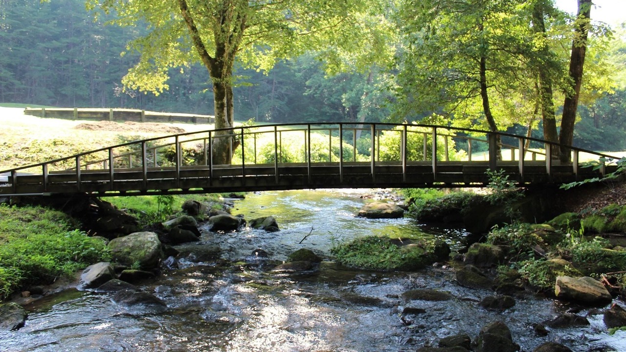 Photo of Outdoor in Pickens