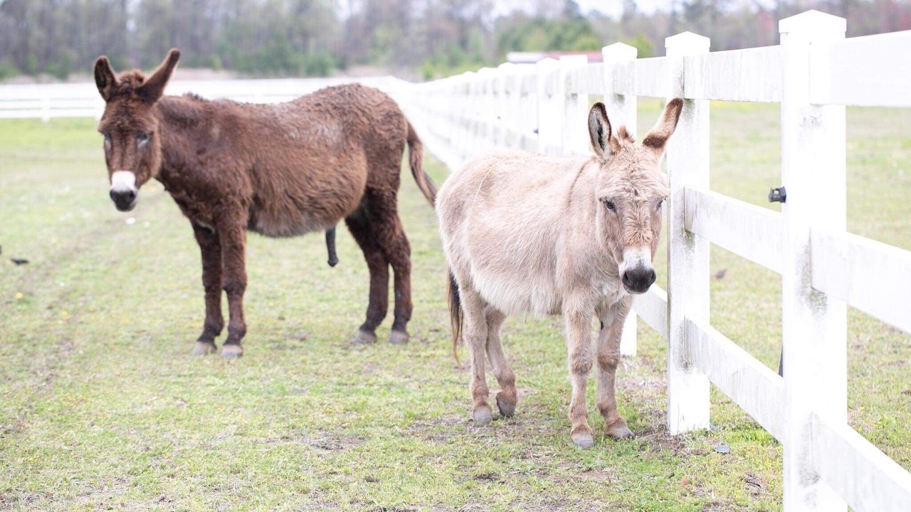 Photo of Others in Parkton