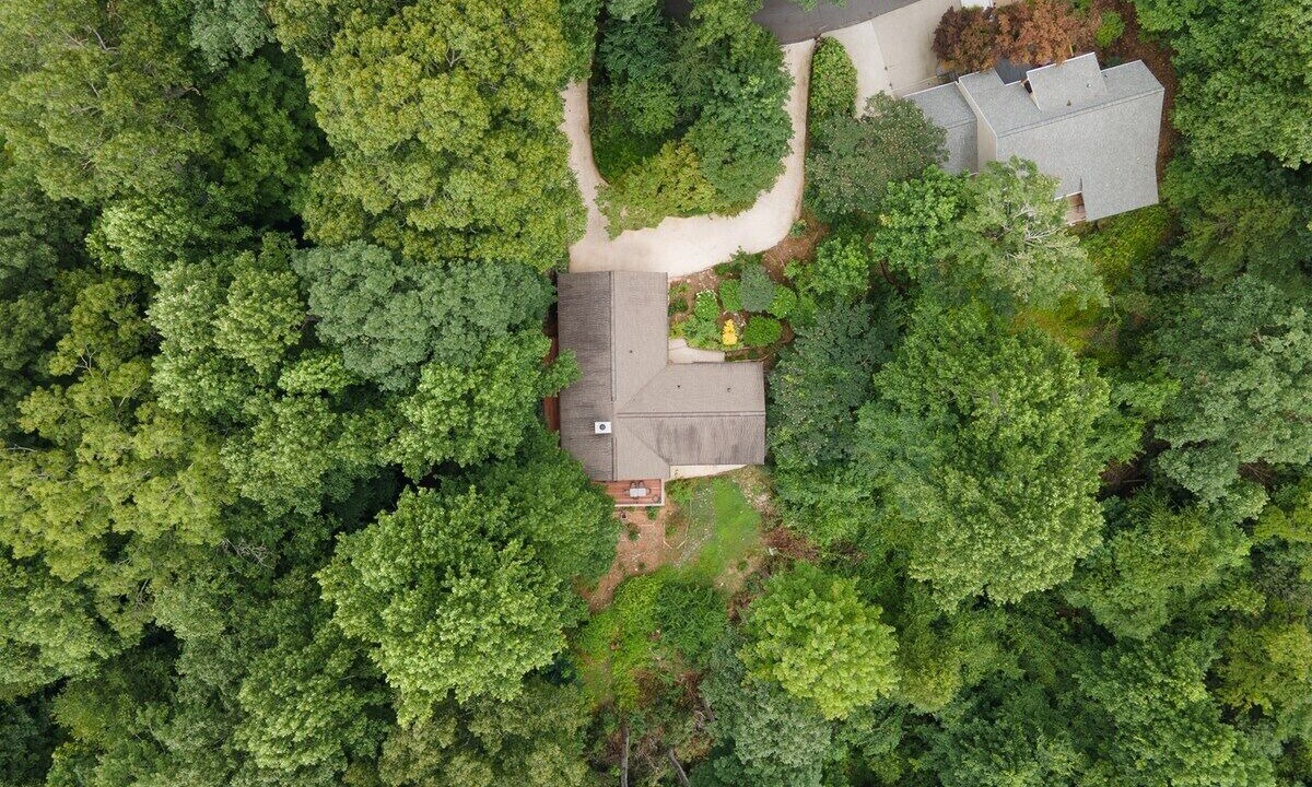 Photo of Outdoor in Pisgah Forest