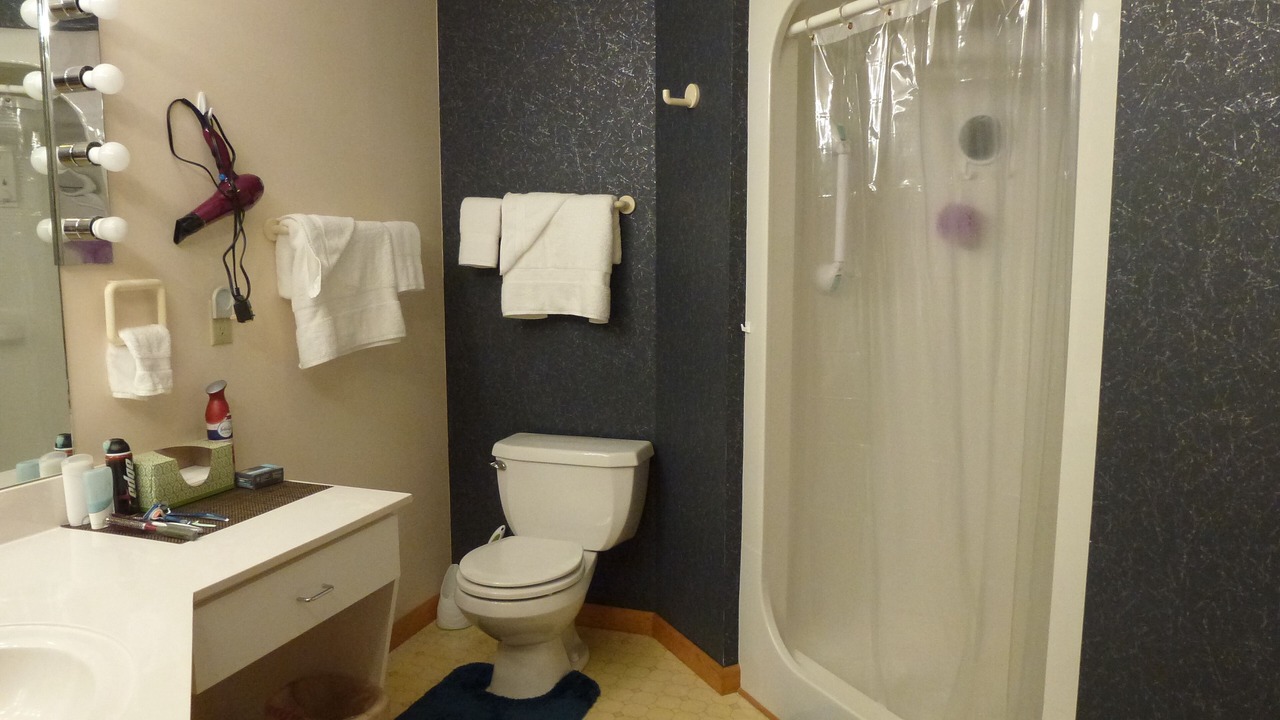 Photo of Bathroom in Pisgah Forest