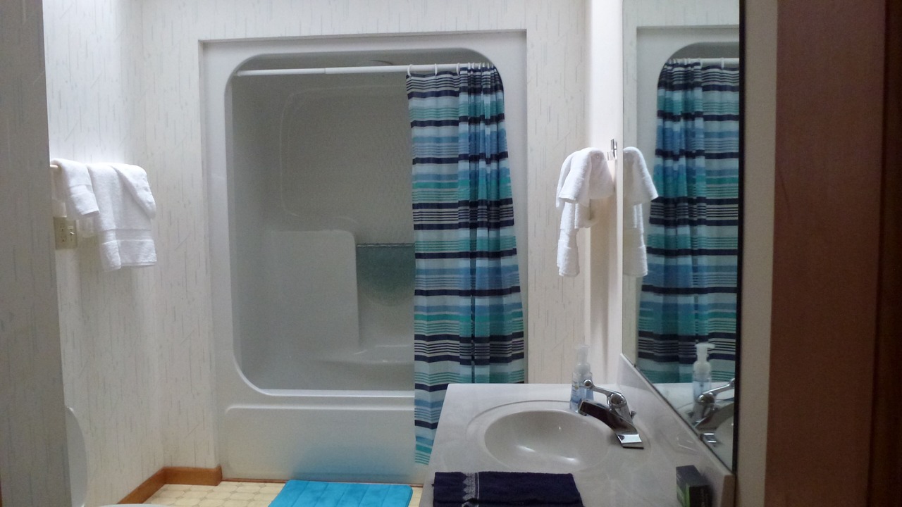 Photo of Bathroom in Pisgah Forest