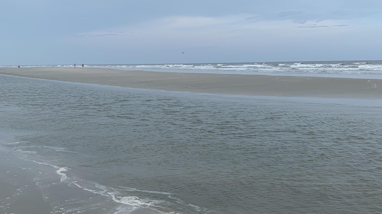 Photo of Others in Pawleys Island