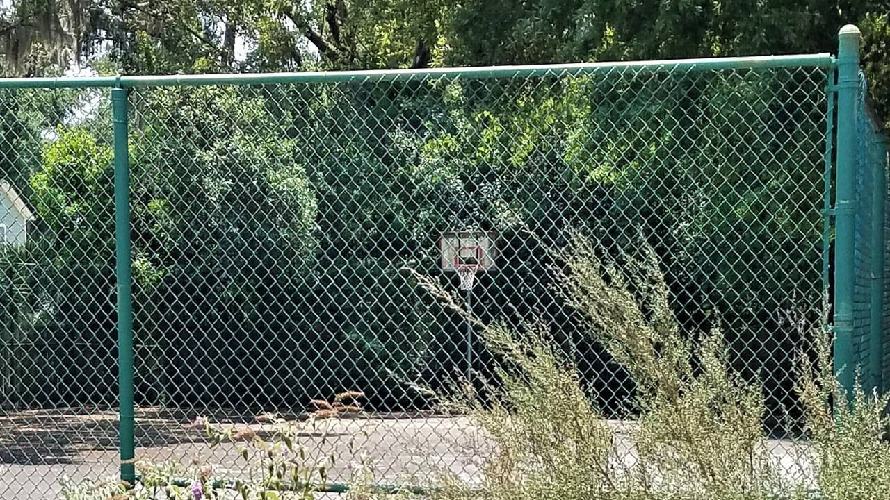 Photo of Others in Palmetto Dunes