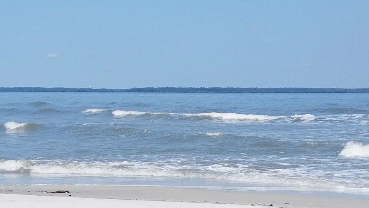 Photo of Others in Palmetto Dunes