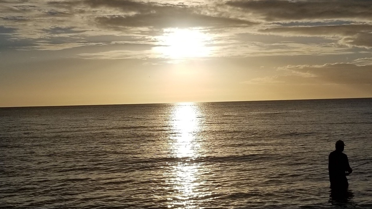 Photo of Others in East Naples