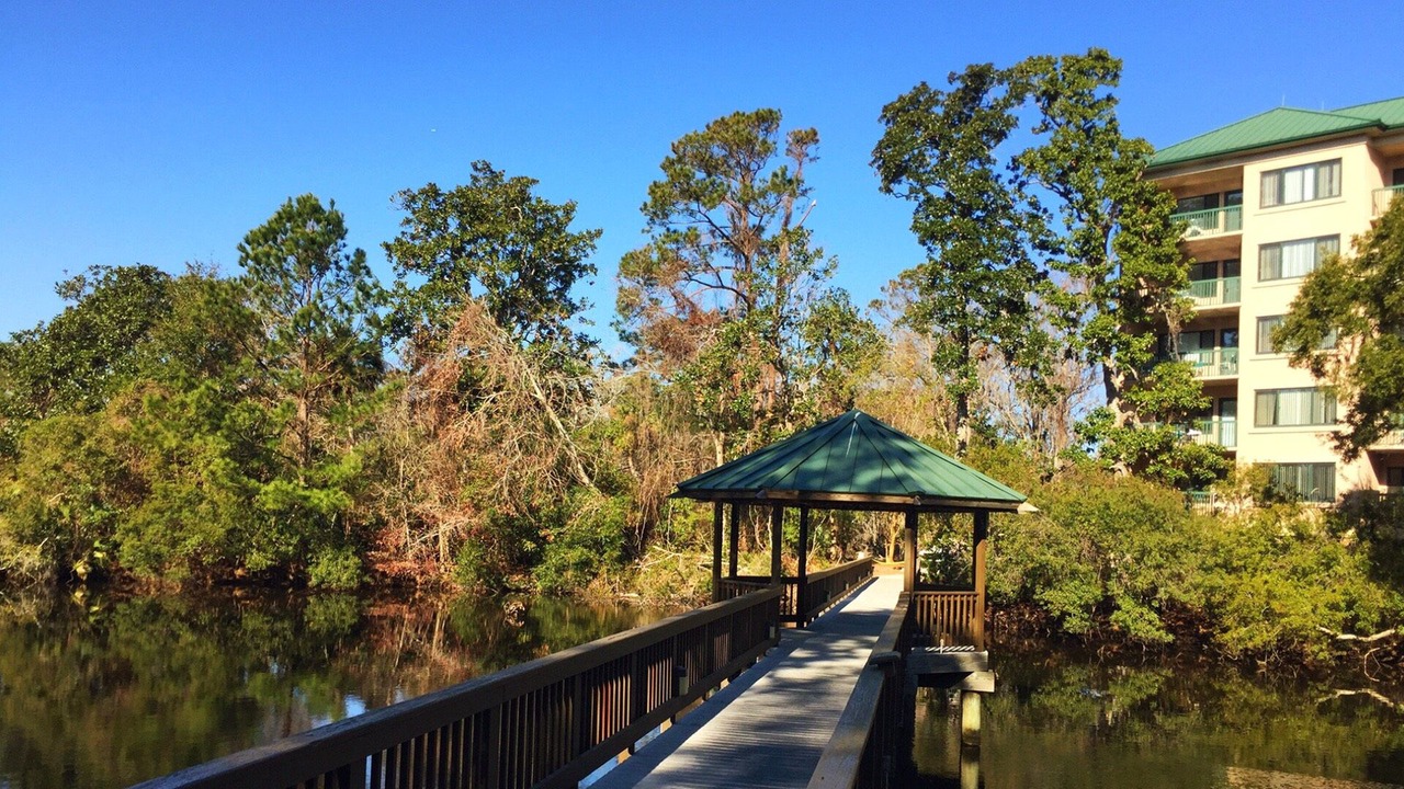Photo of Outdoor in Hilton Head Island