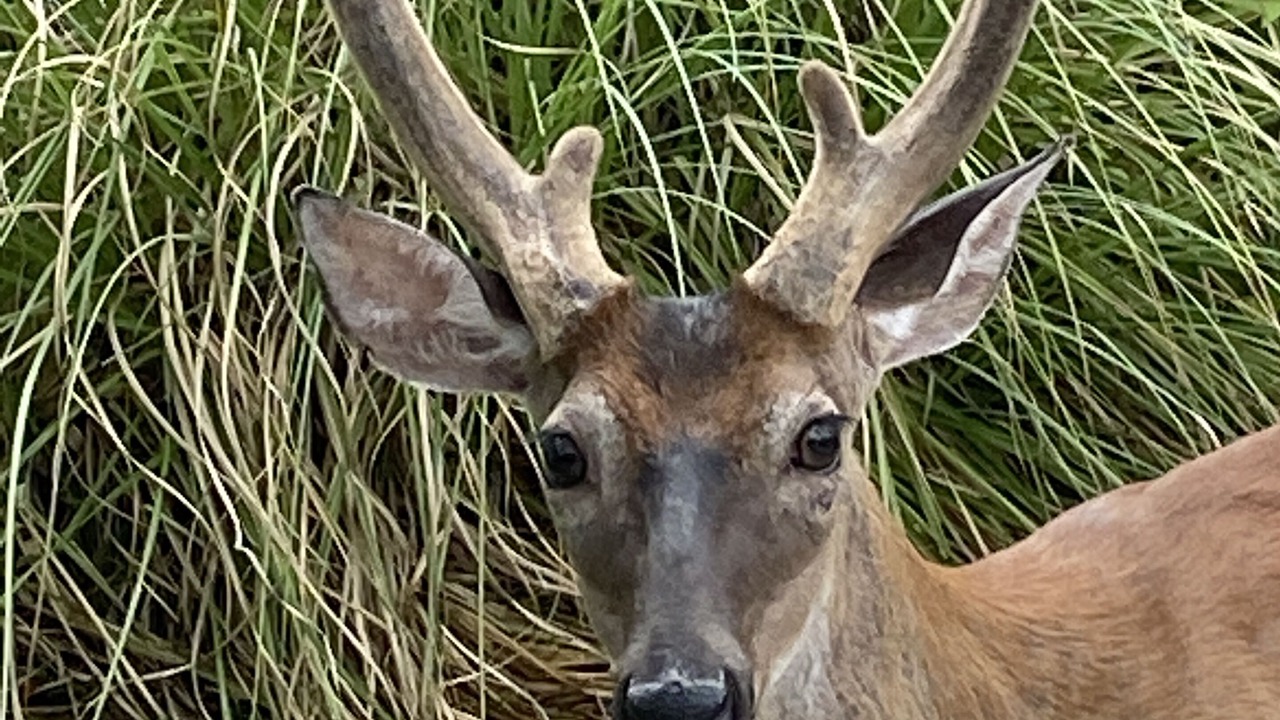 Photo of Outdoor in Saint Helena Island