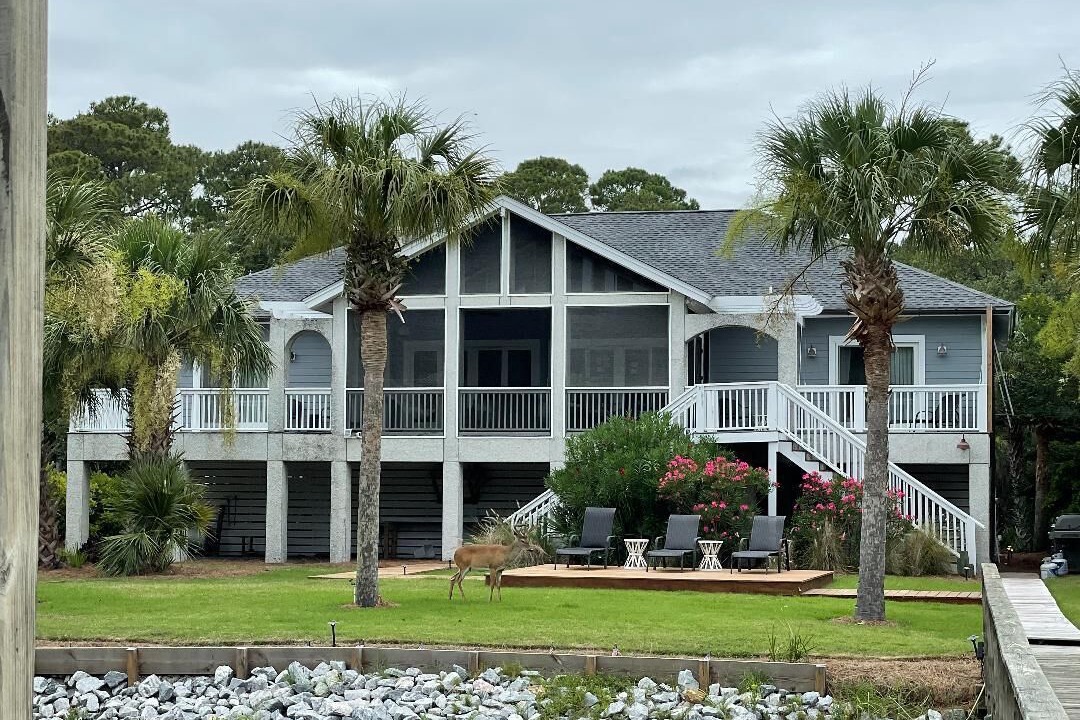 Photo of Others in Saint Helena Island