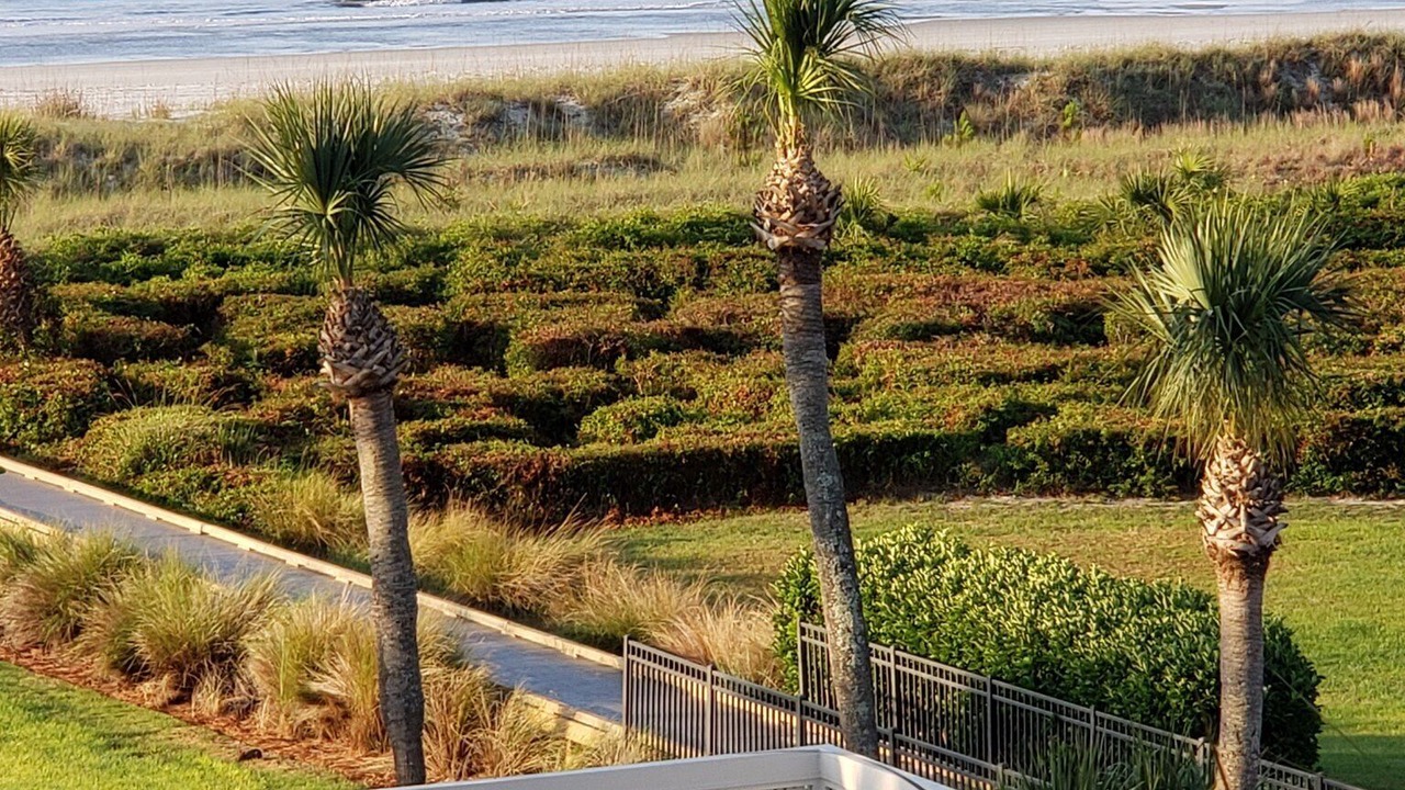 Photo of Others in Hilton Head Island