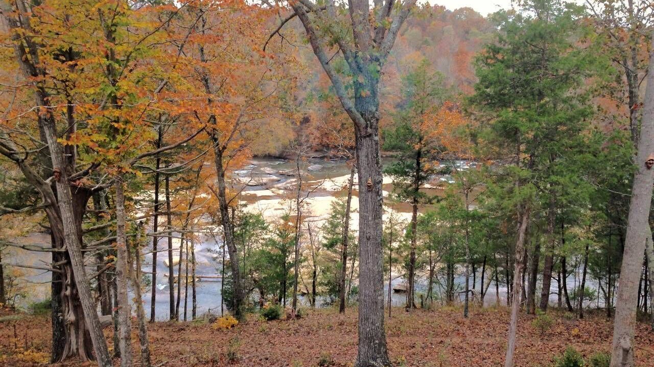 Photo of Others in Woodruff