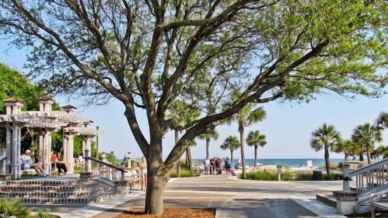 Photo of Outdoor in Hilton Head Island