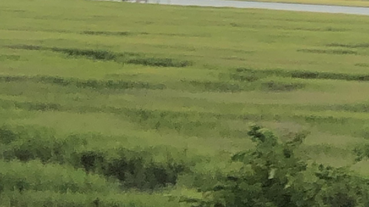 Photo of Others in Port Royal Landing