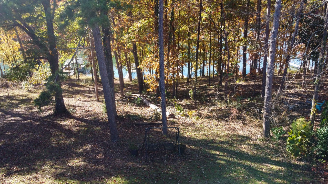 Photo of Outdoor in Townville