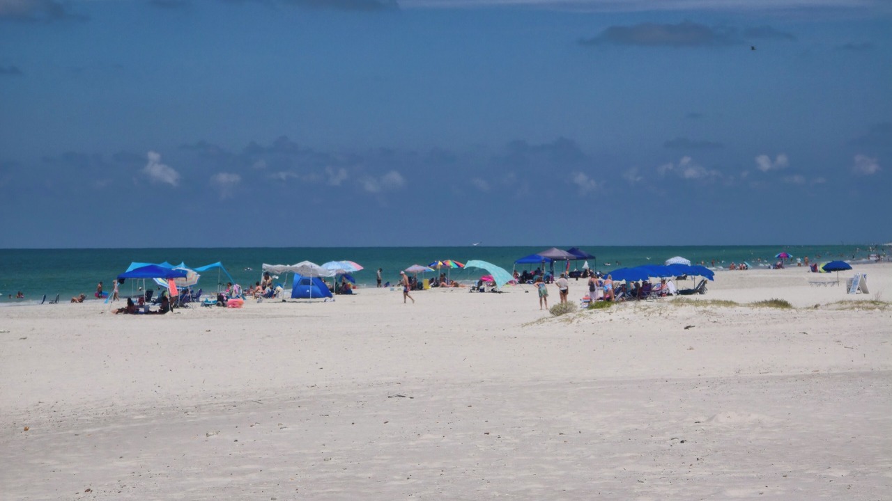 Photo of Others in Madeira Beach