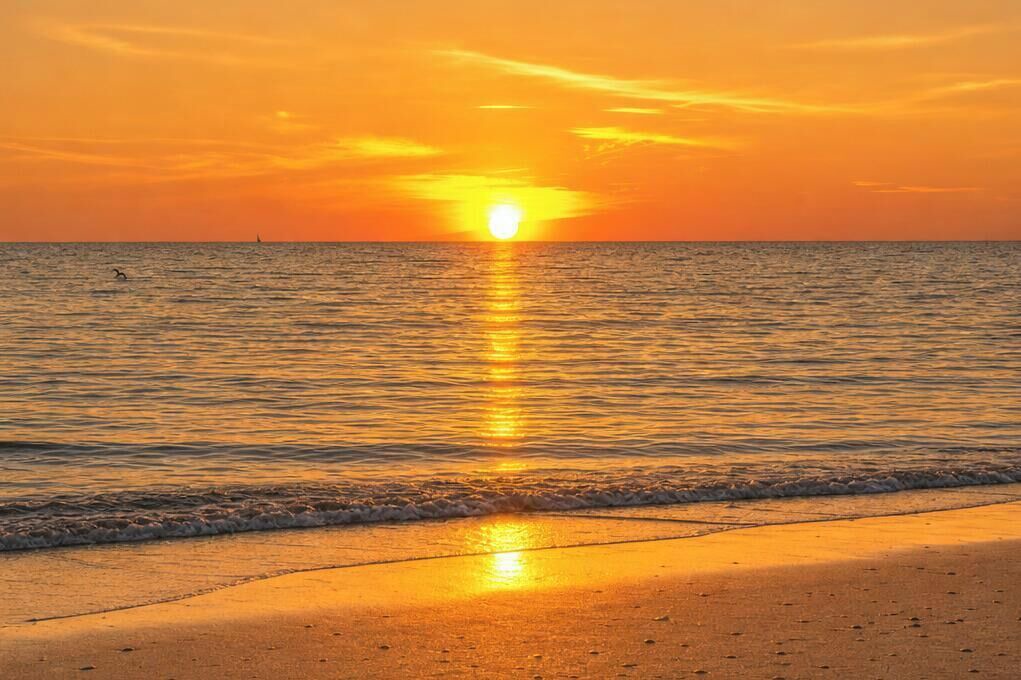 Photo of Others in Madeira Beach