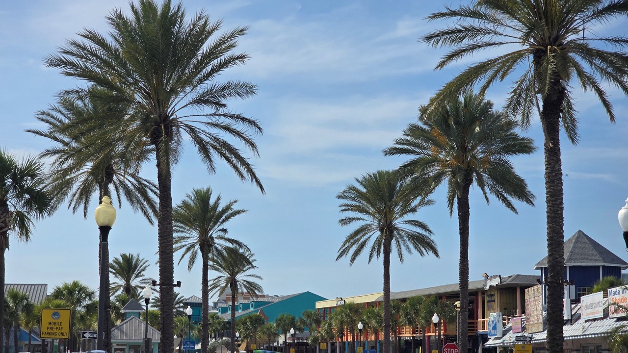 Photo of Others in Madeira Beach