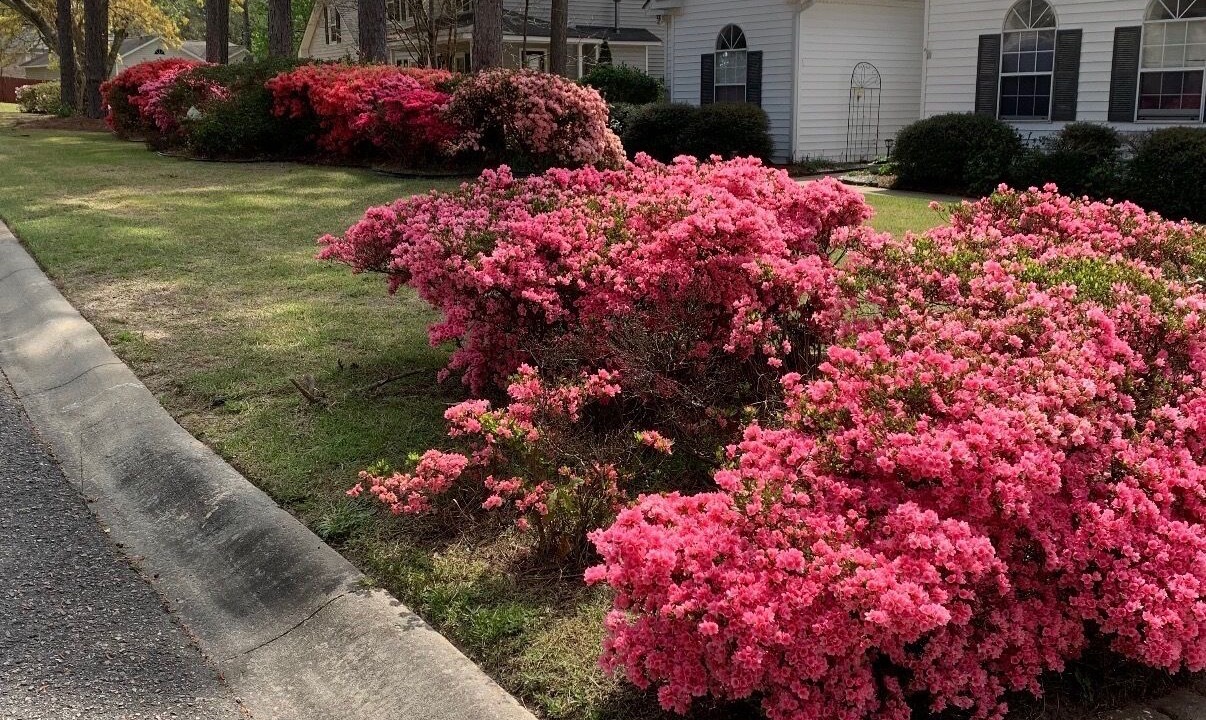 Photo of Outdoor in Aiken