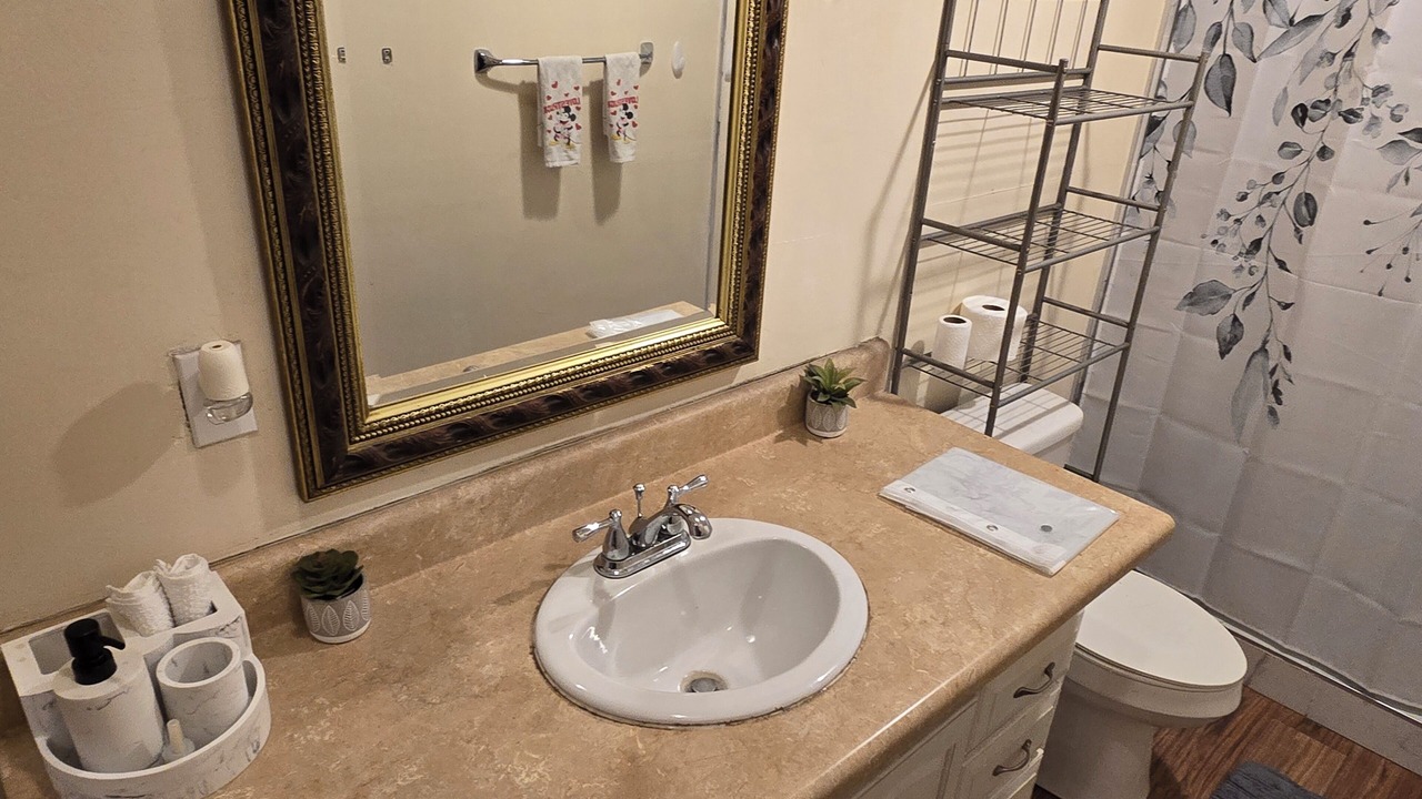 Photo of Bathroom in Plant City