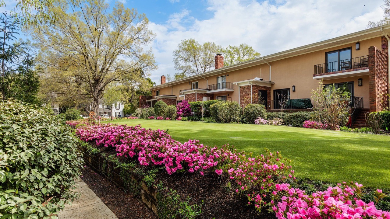 Photo of Outdoor in Summerville