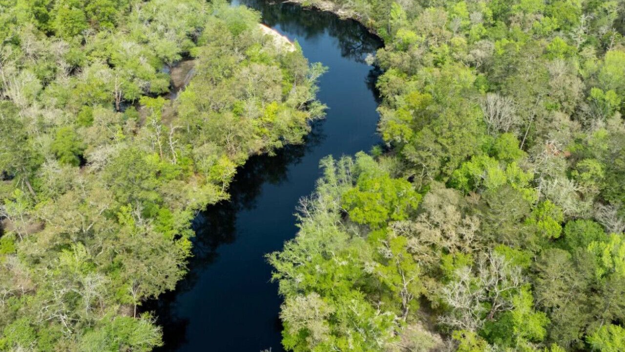 Photo of Outdoor in Bryceville