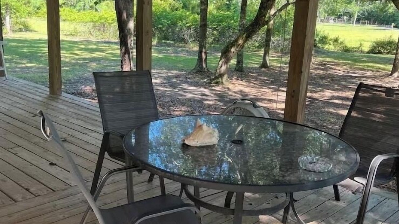 Photo of Outdoor in Bethera