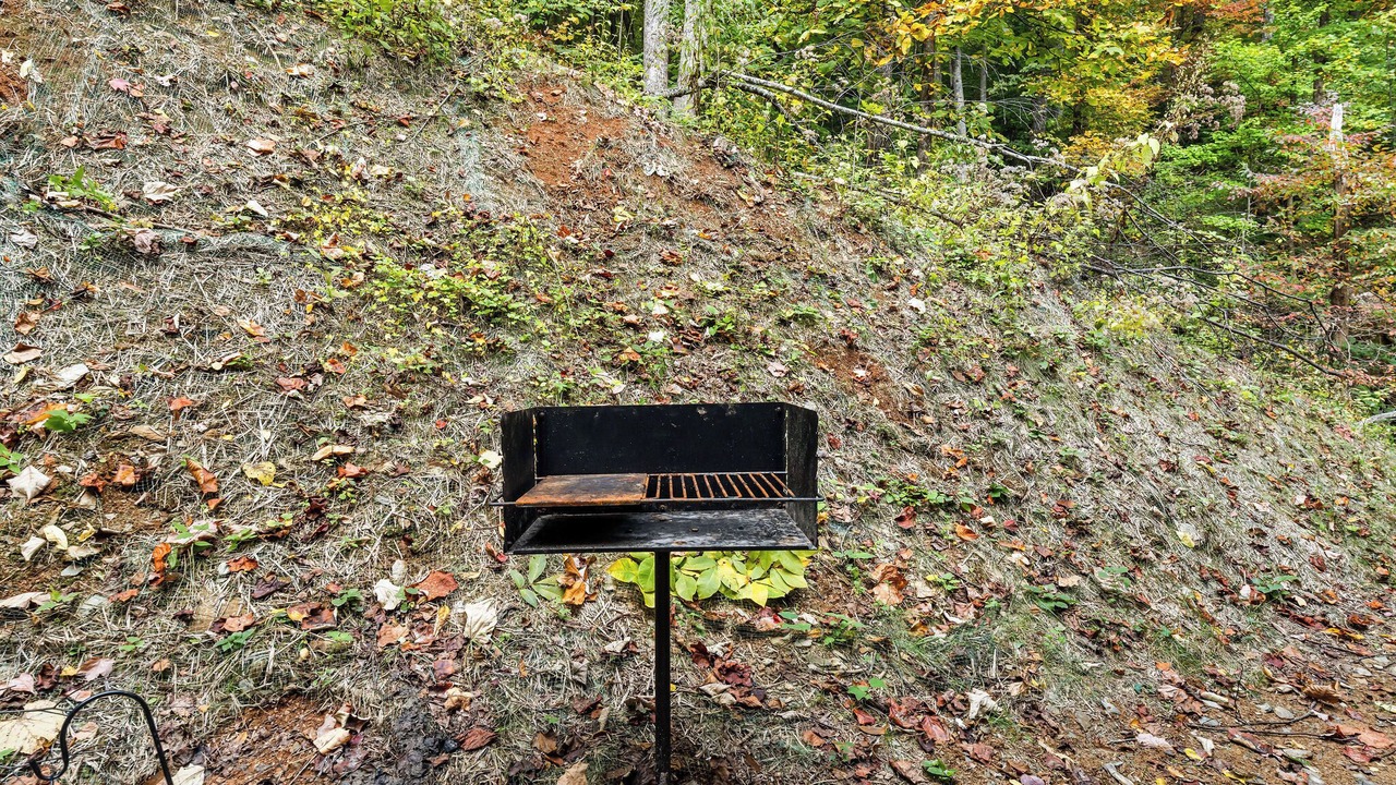Photo of Others in Wears Valley