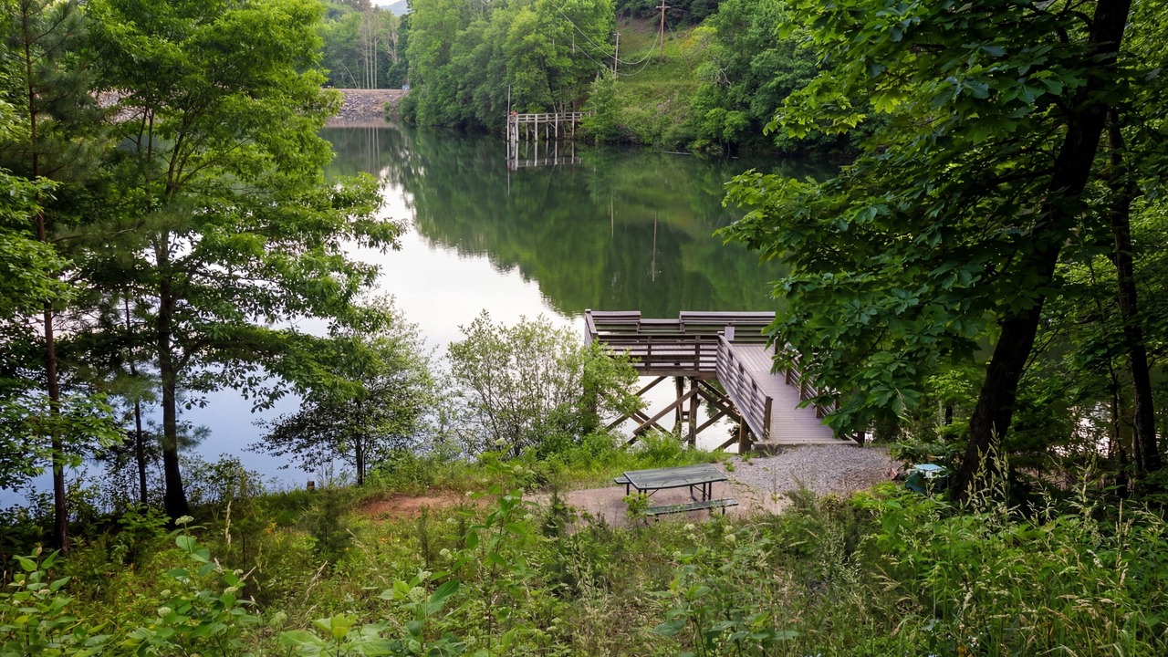 Photo of Outdoor in Topton